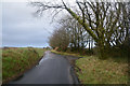 North Devon : Country Lane