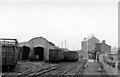 Q8414 : Tralee station and sheds, 1948 by Walter Dendy, deceased