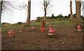 NS6070 : Fairy and toadstools, Bishopbriggs Public Park by Richard Sutcliffe