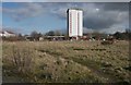 Waste ground beside Nitshill Station