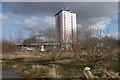 High rise flats on Nitshill Road