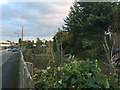 Waste ground between Nelson Lane and the rear gardens of Cliffe Way, Warwick