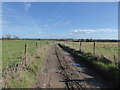 ST8698 : Track towards Brandhouse Farm by Vieve Forward