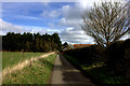 Beesonend Lane looking towards Beesonend Farm