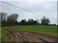 Muddy farm track, Kinwalsey