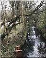 Newcastle-under-Lyme: Lyme Brook