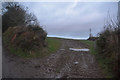 North Devon : Grassy Field