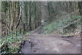 ST2195 : Track from Pant-y-Resk Road by M J Roscoe