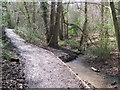 Footpath in Holly Hill Woodland Park