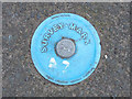 Survey Mark on pavement on Gorsey Lane, Mawdesley