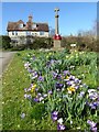 War memorial and spring flowers