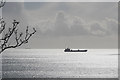 Looking towards the Sea, Falmouth, Cornwall