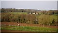 West Gloucestershire, early spring, 2