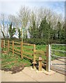 Footpath, Edginswell