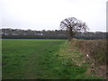 Footpath to Nuneaton