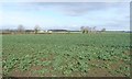 NZ1313 : Arable farmland, near Girlington Bank by Christine Johnstone