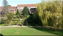 SU4215 : University of Southampton: spring view from Building 44 by David Martin