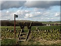 Path to Lodge Moor from Brown Hills Lane