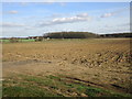 View towards Sparrington Farm and Little Gate Wood