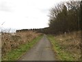 Bridleway beside the River Blyth