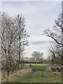 View towards Wraysbury church from Ankerwycke