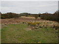 Beeston Regis Common