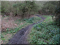 Path on Sheringham Common