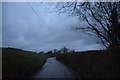 North Devon : Country Lane