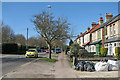 Cherry Hinton: Fulbourn Road in early spring
