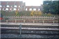 Trackside housing near Dollis Hill