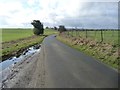 NZ1410 : Collier Lane heading south towards West Layton by Christine Johnstone