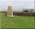 ST2912 : Trig point on Combe Beacon by Roger Cornfoot