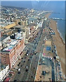 TQ3004 : A259 and beaches viewed from i360 by Paul Gillett