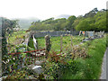 Sheep pen, Ynys Fawr