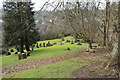 Catrine Parish Church Graveyard