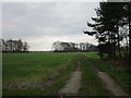 Track into The Park, Thicket Priory