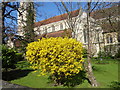 St Mary Magdalene Church, Enfield