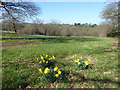 Hilly Fields Park