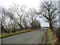 Road near Stoddah Bank, looking south