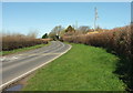 A3066 approaching Melplash