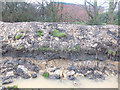 Ditch showing geology on Wheatlea Industrial Estate