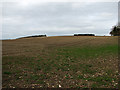 TL7158 : A flinty field near Lidgate by John Sutton