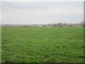 Grass field off Woodhouse Lane