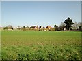 Over  field  toward  Bielby  village