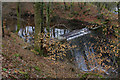 Weir, Brooklinn Mill