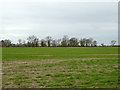 Field near Lords Farm