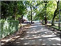 Ice-cream van in Longford Park