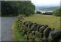 Dry stone wall along Banks Lane