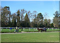 Jaunting round the Race Course