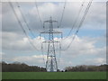 Giant pylon off the Harcamlow Way